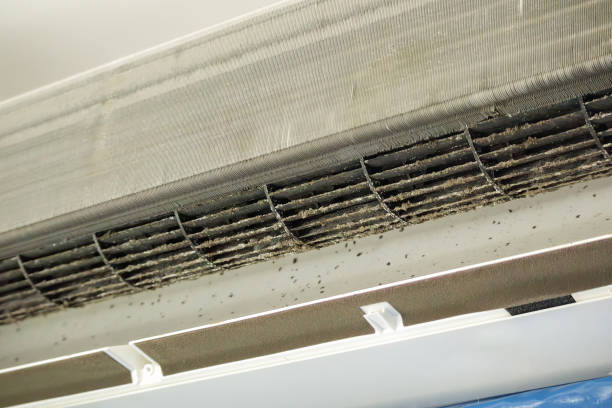 Best Affordable Air Duct Cleaning  in Ucon, ID